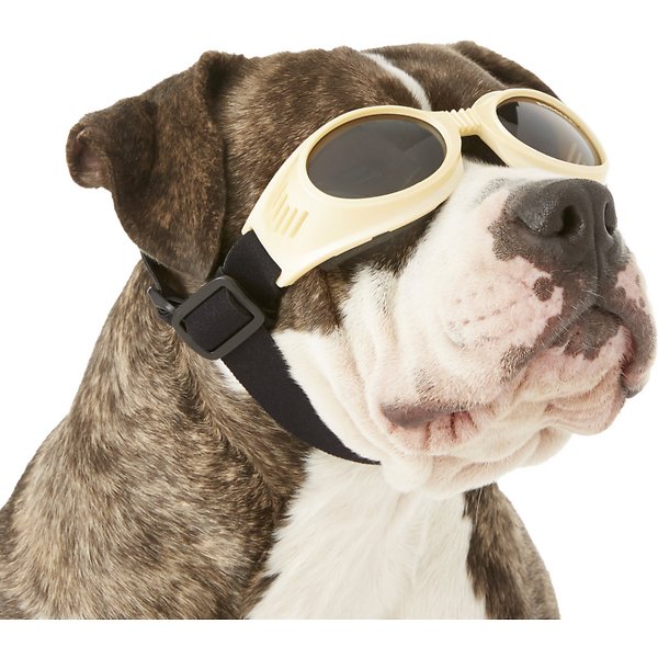 Your question: Are Doggles good for dogs?