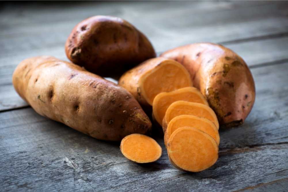 Are dogs allergic to cooked sweet potatoes?