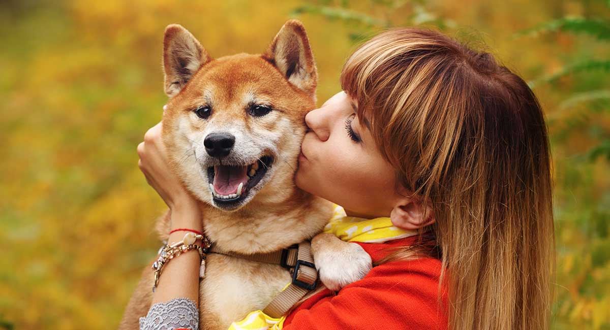 Do dogs feel love when you kiss them?