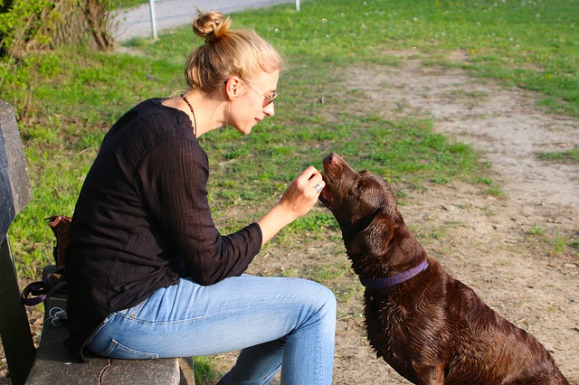 How do I teach my dog to say I love you?