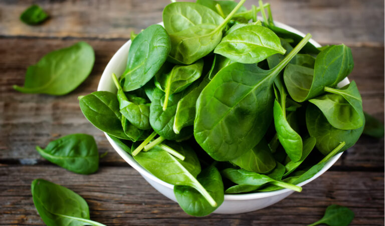 Your question: How much spinach should I give my dog?