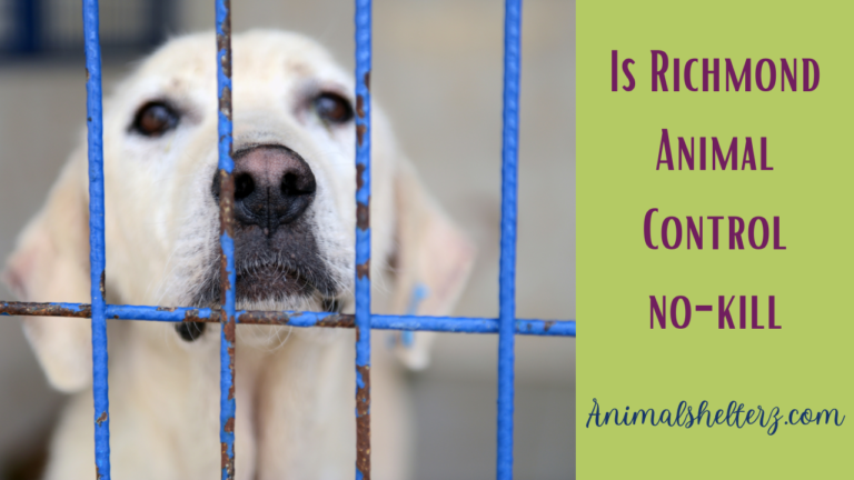 Is Richmond Animal Control no-kill?