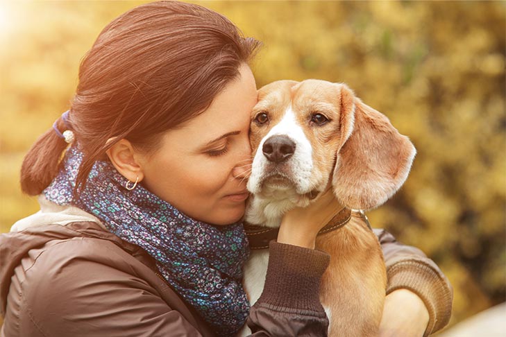 Is cancer treatable in dogs?
