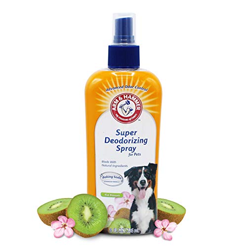 What is the best dog deodorizing spray?
