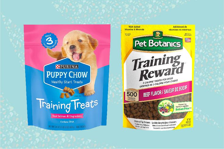What is the healthiest treat for dogs?