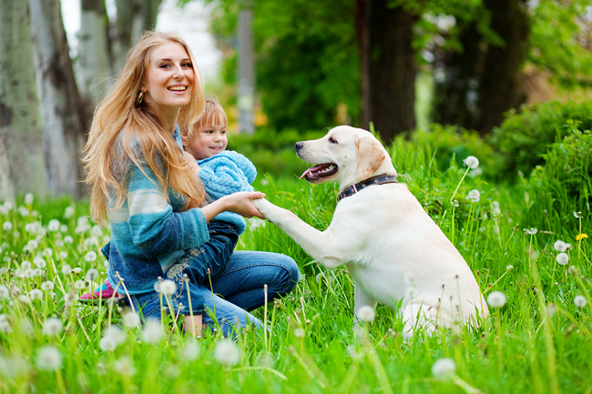 Are dogs more protective of female owners?