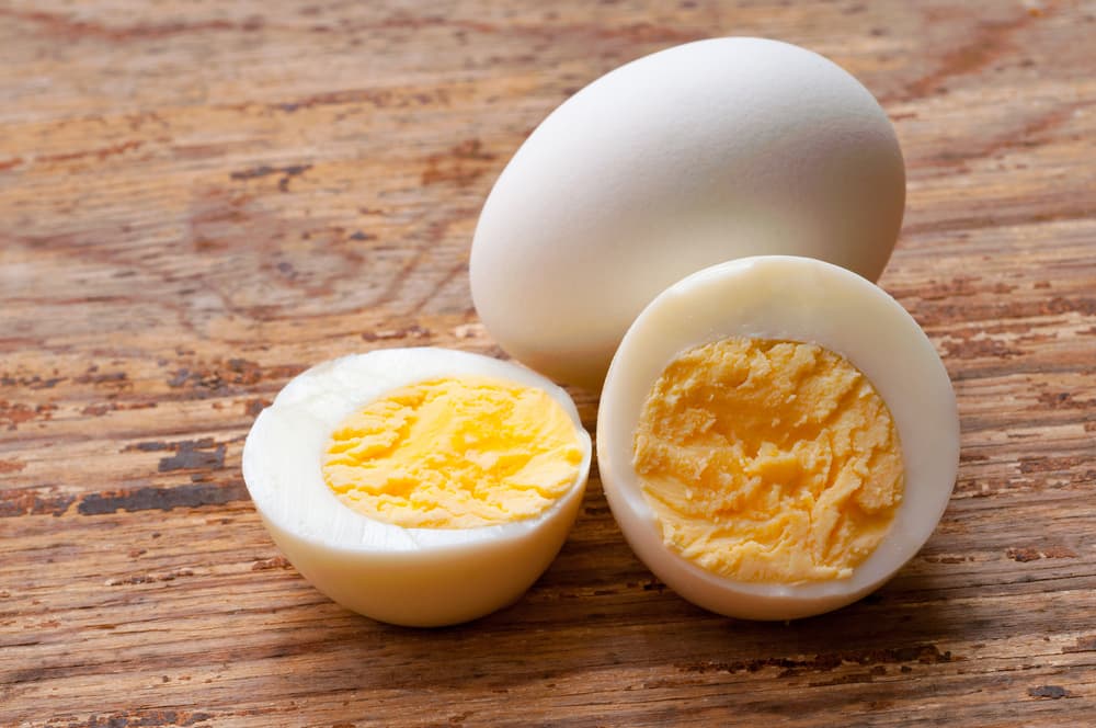 Are eggs bad for dogs?