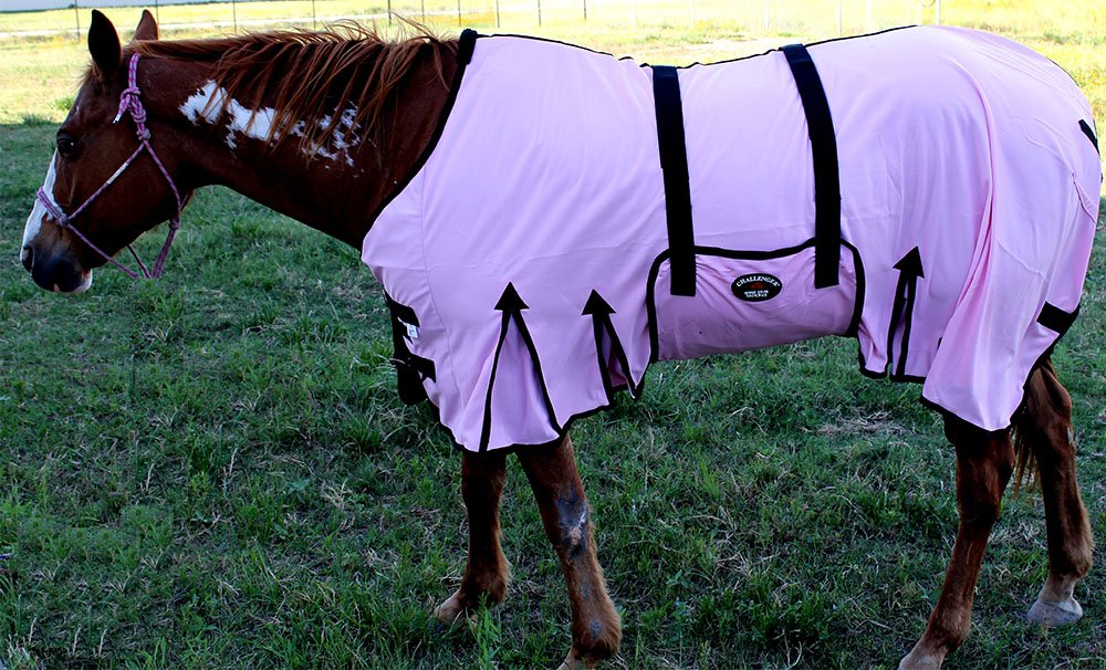 Can a horse wear a fly sheet in hot weather?