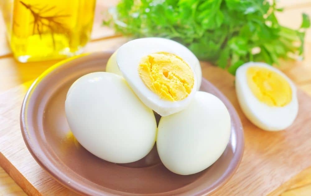 Can birds eat boiled eggs?