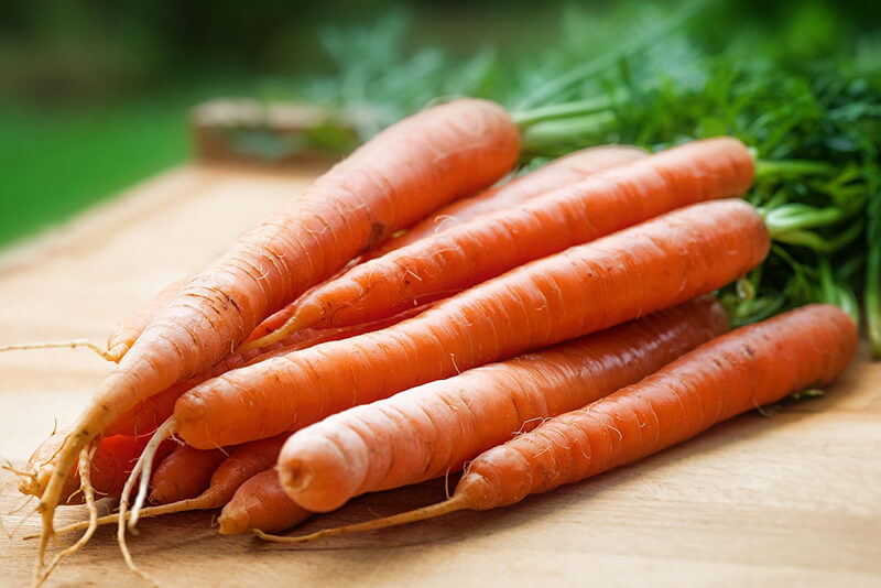 Can carrots give puppies diarrhea?