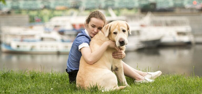 Frequent question: Can dogs sense your sadness?