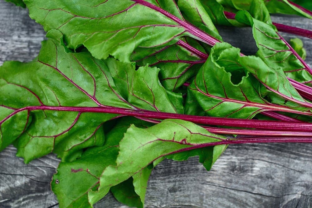 Can pigs eat beet leaves?