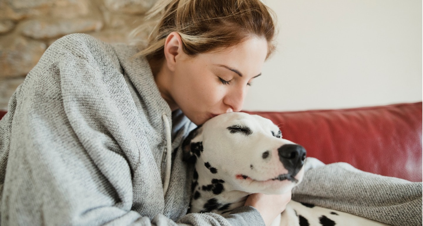 Can you gain a dog’s trust back?