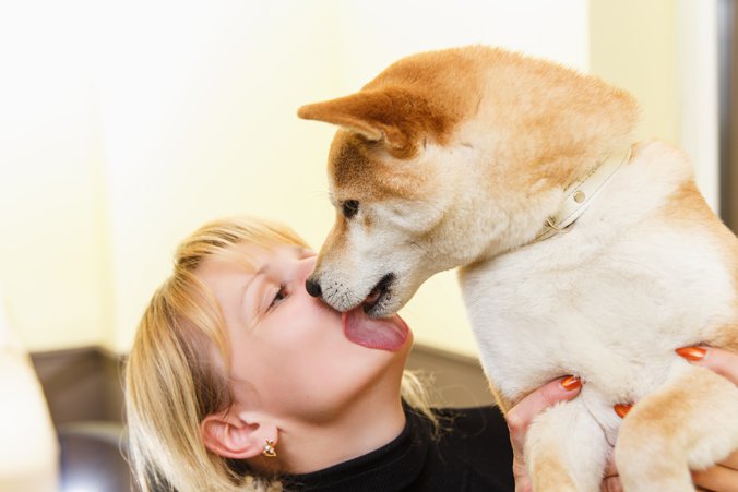 Do dogs have a lot of bacteria in their mouths?