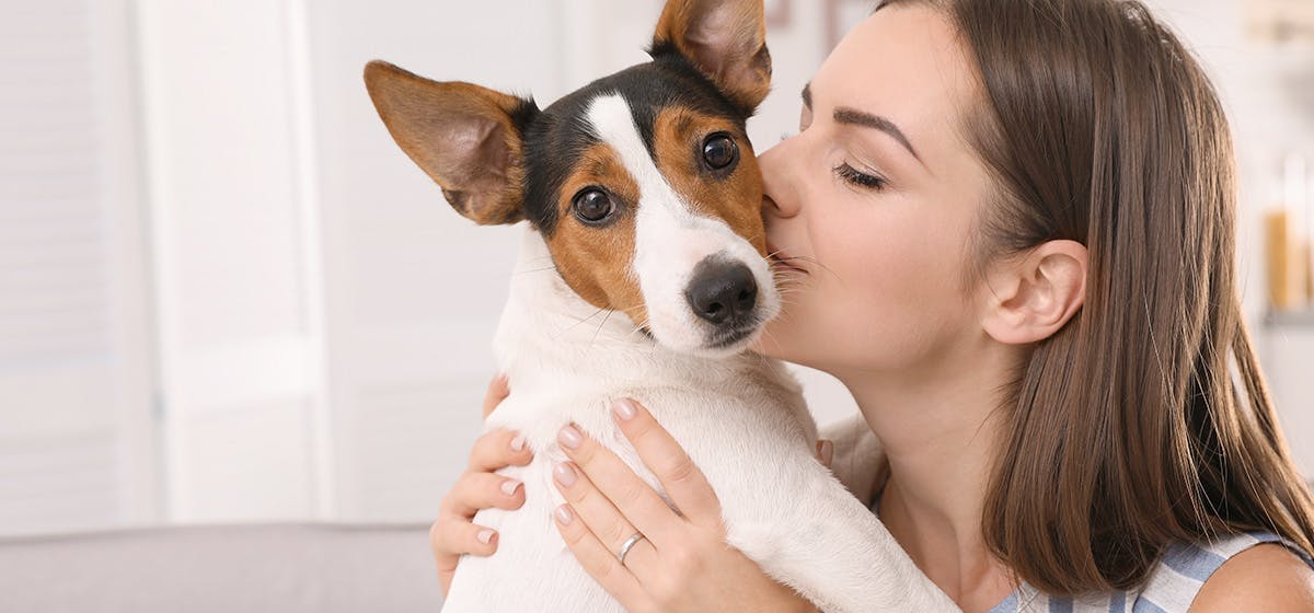 Do dogs know when we kiss?