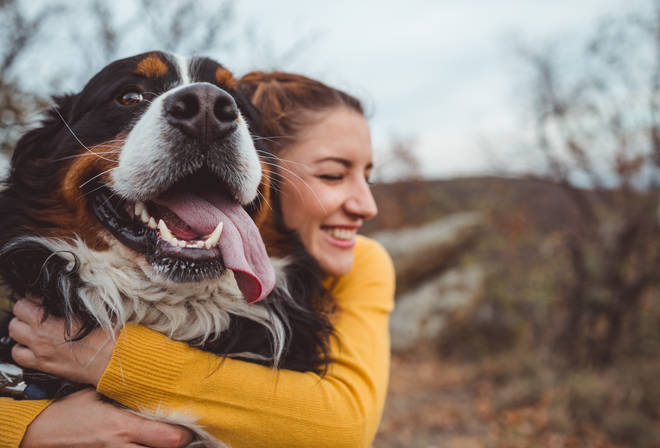 Do dogs know when you hug them?