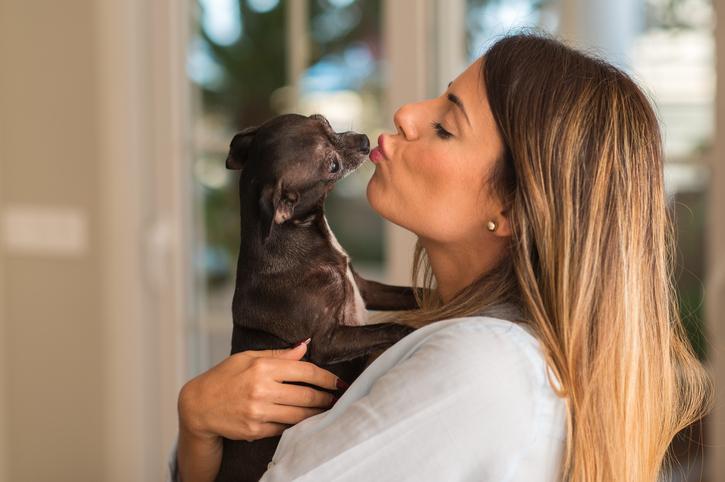 Do dogs like when you kiss them?