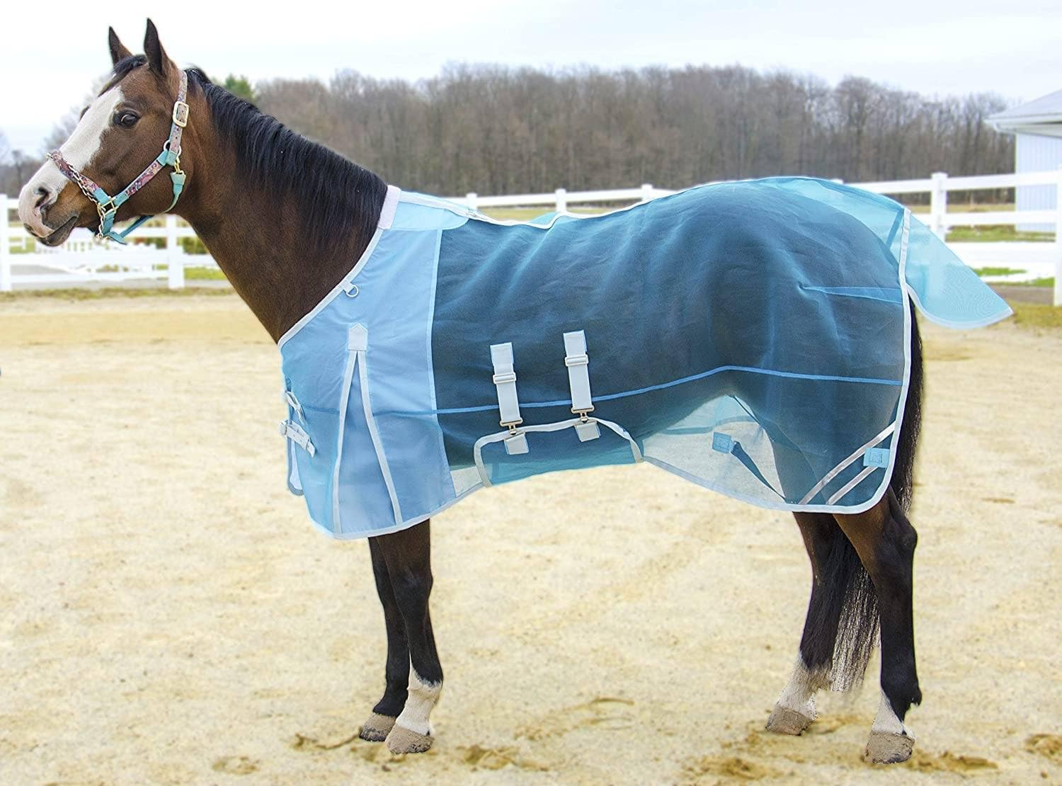 Do fly sheets keep horses cool?