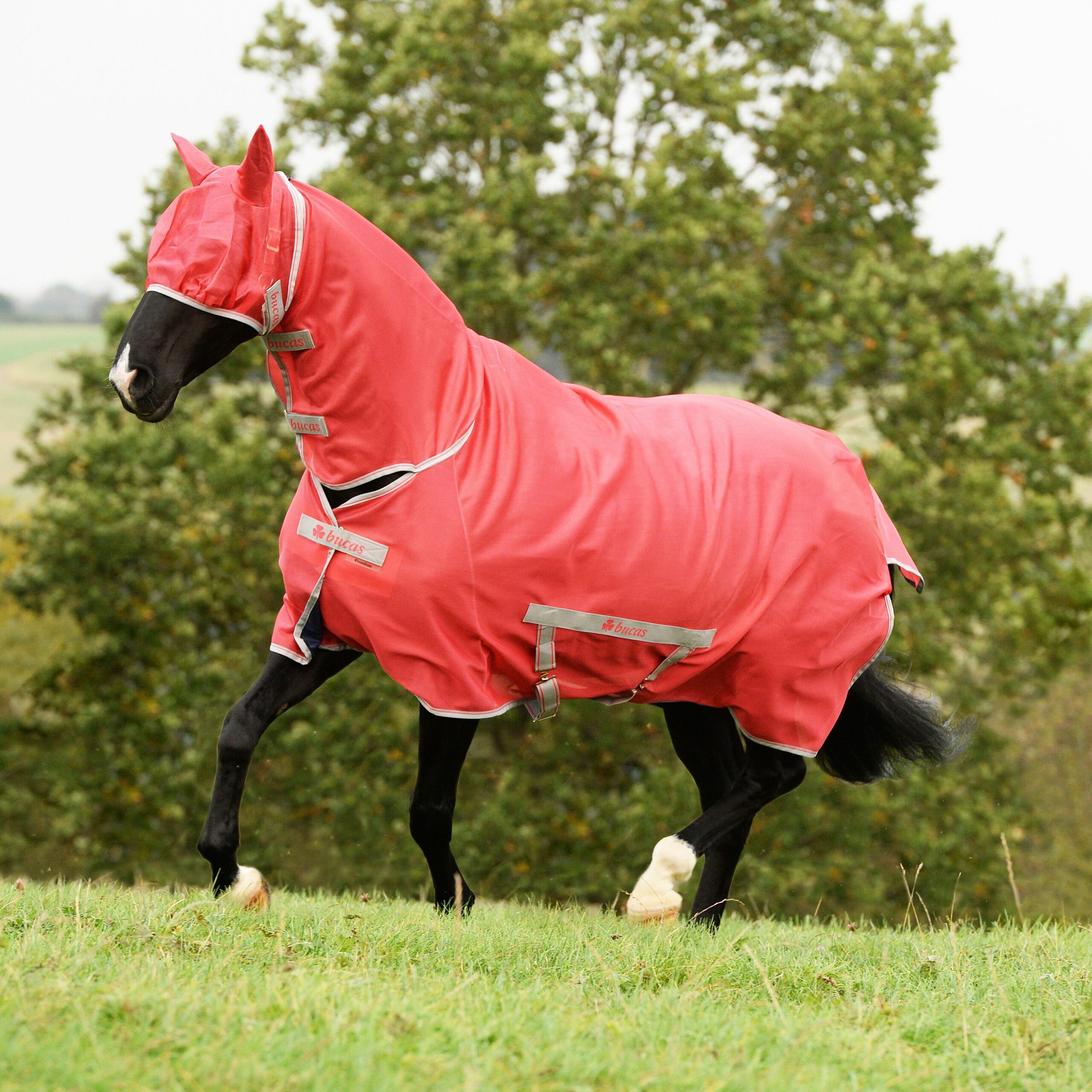 Do fly sheets protect against horse flies?
