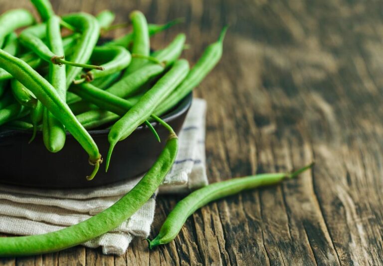 Do green beans stop dogs from eating poop?