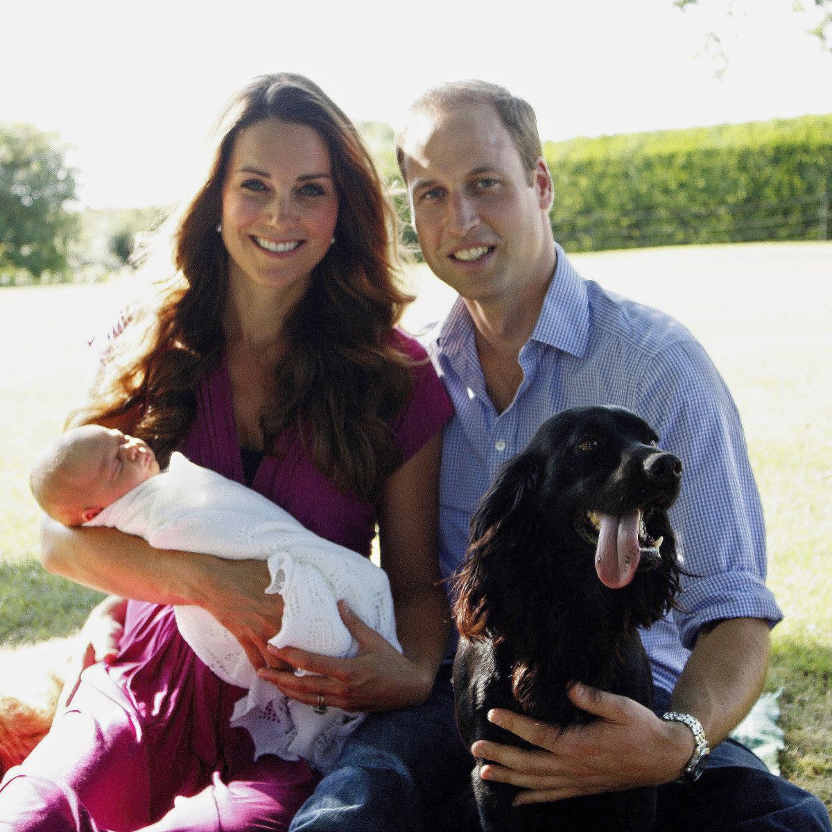 Do the cambridges still have Lupo?