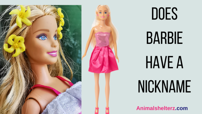 Does Barbie have a nickname?