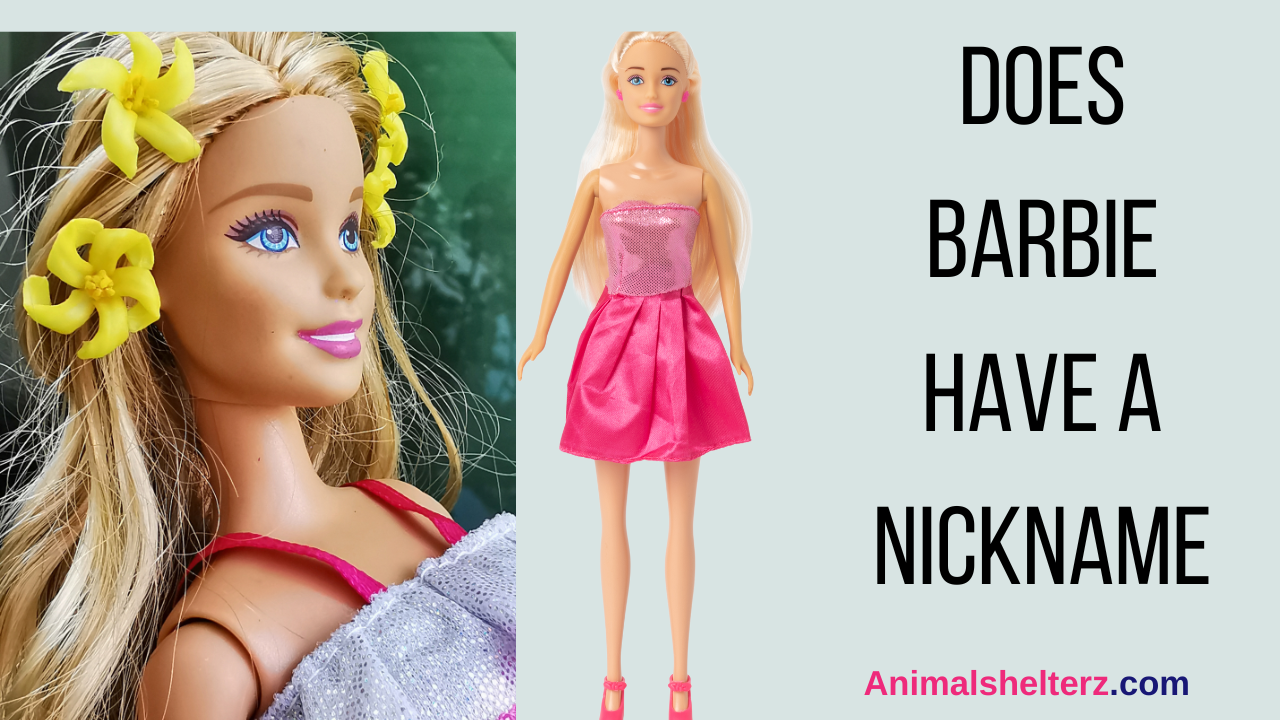 Does Barbie have a nickname