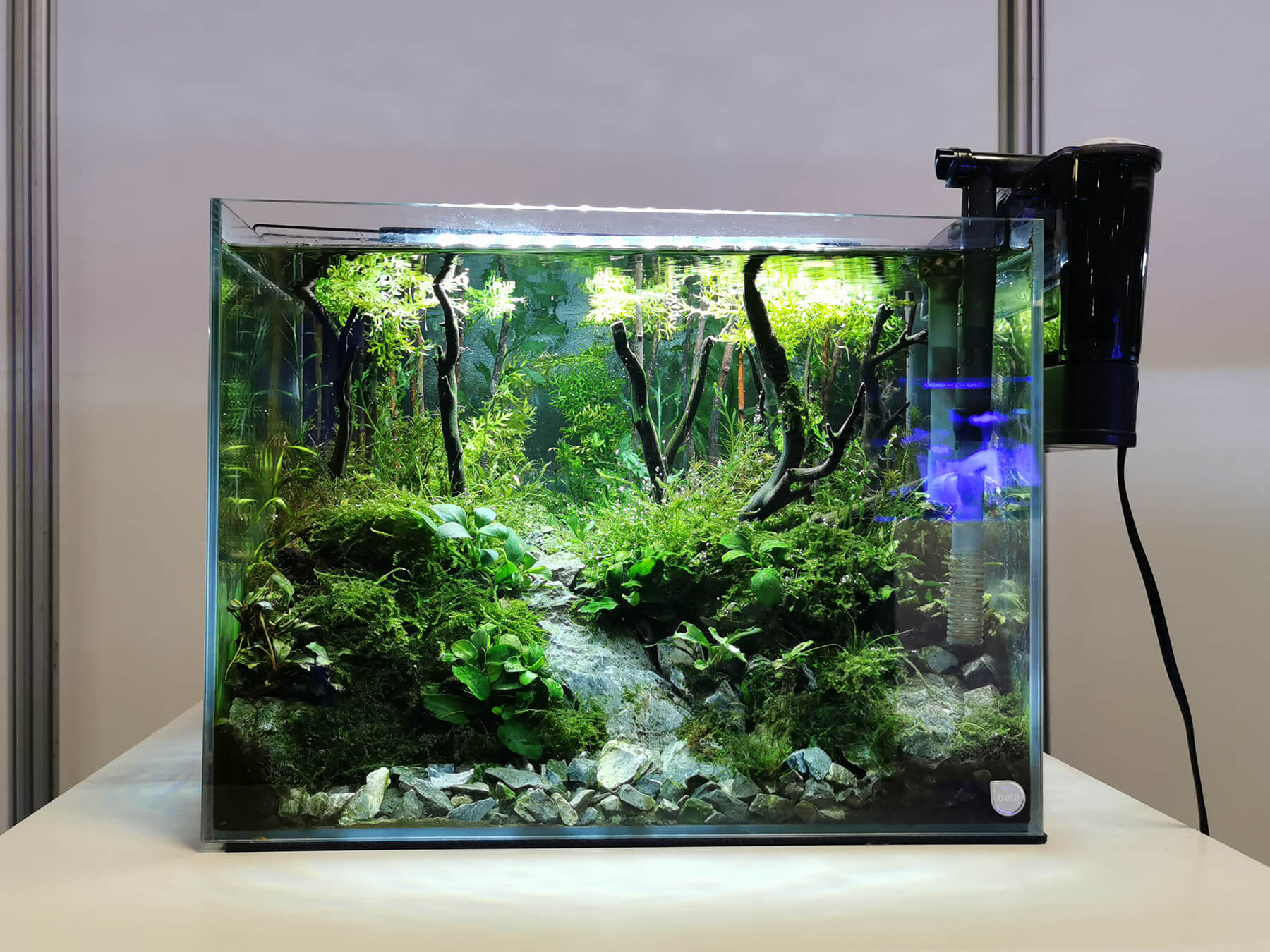 Does fluval biological booster work?