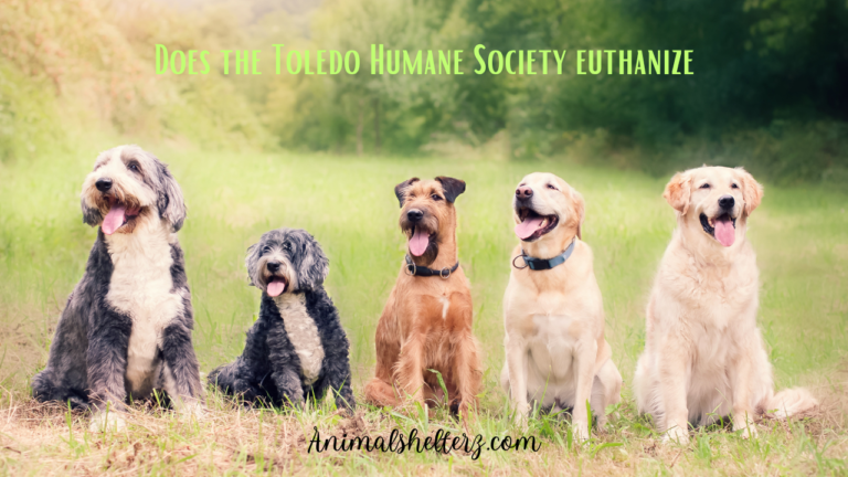 Does the Toledo Humane Society euthanize?