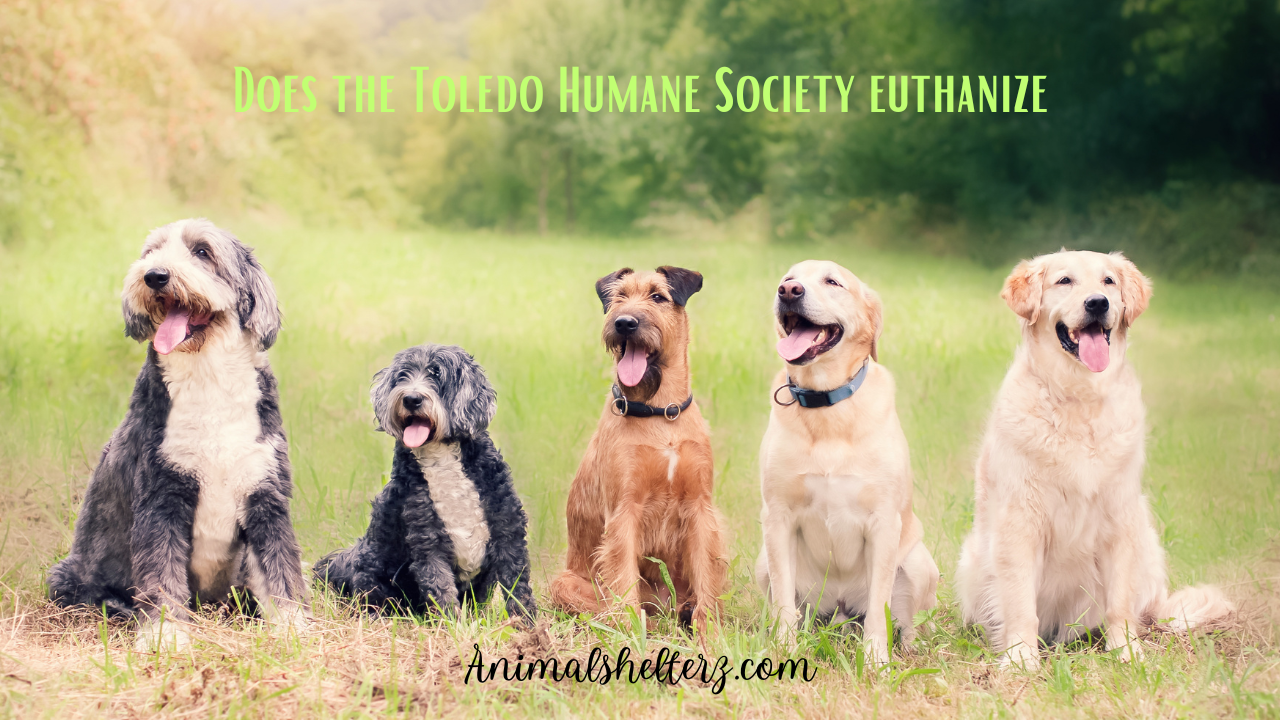 Does the Toledo Humane Society euthanize