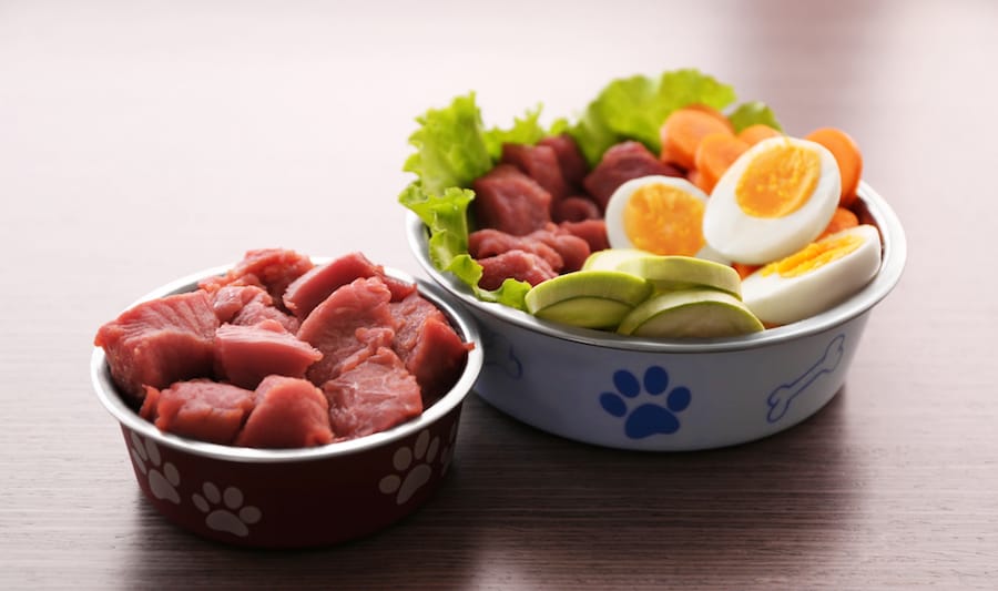 How do I feed my dog frozen raw food?