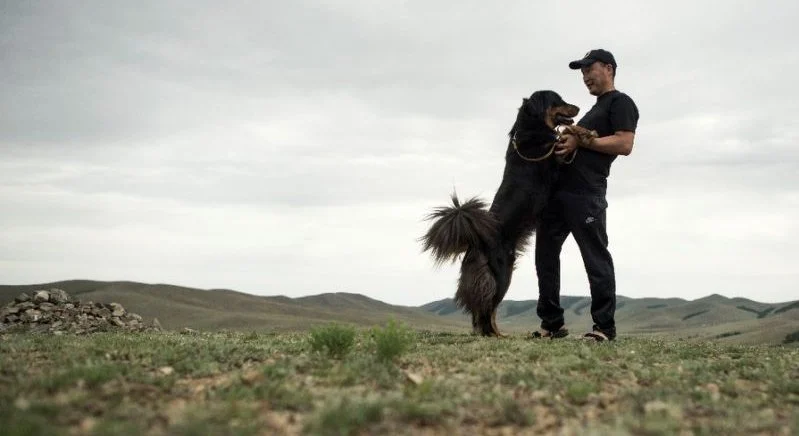 How do Mongolians bury their dogs?