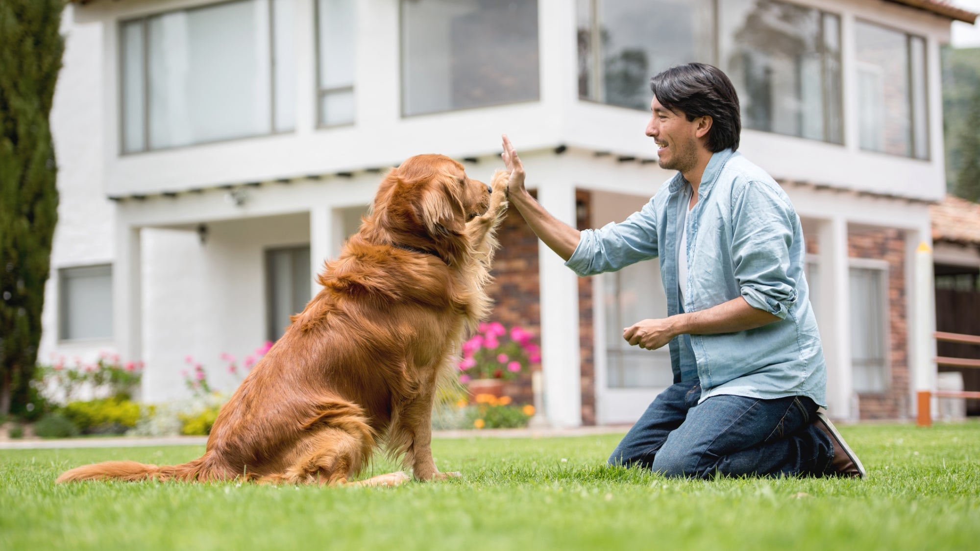 How much do dog trainer business owners make?