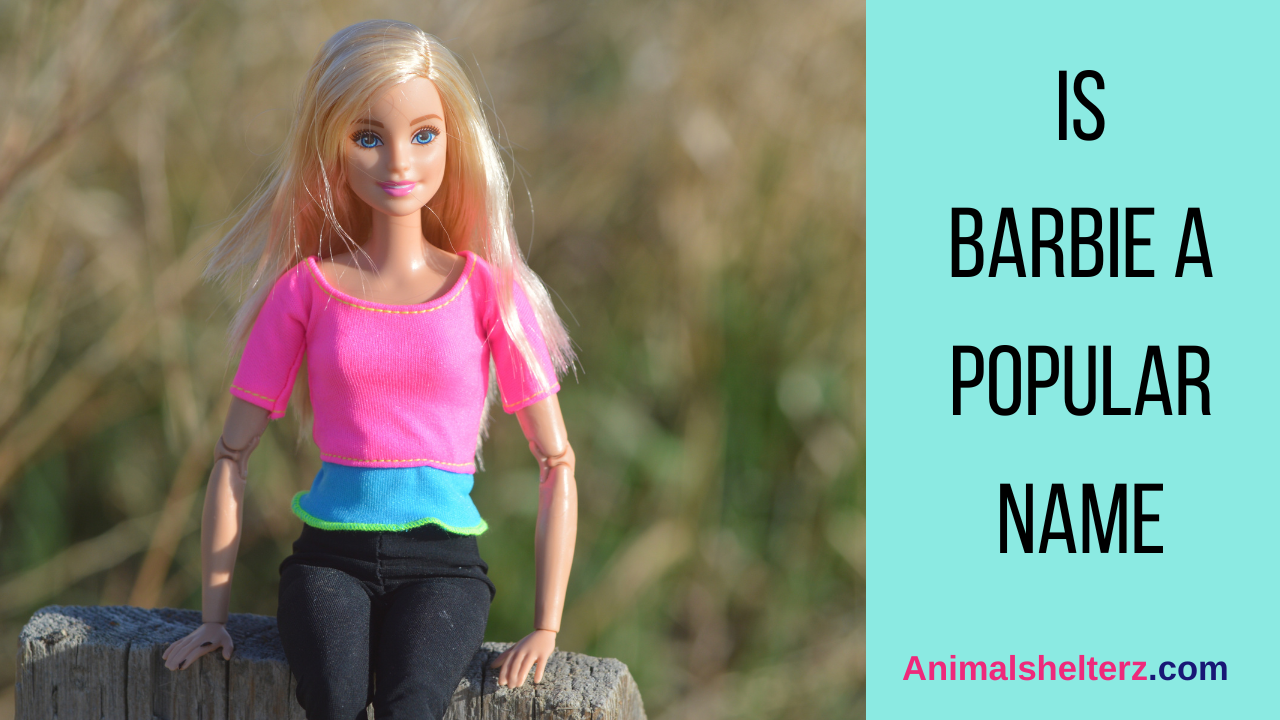 Is Barbie a popular name