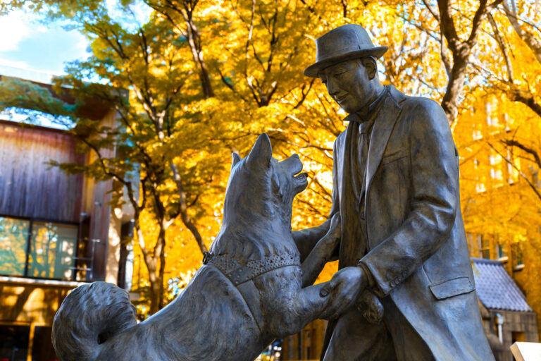 Is Hachiko a real story?