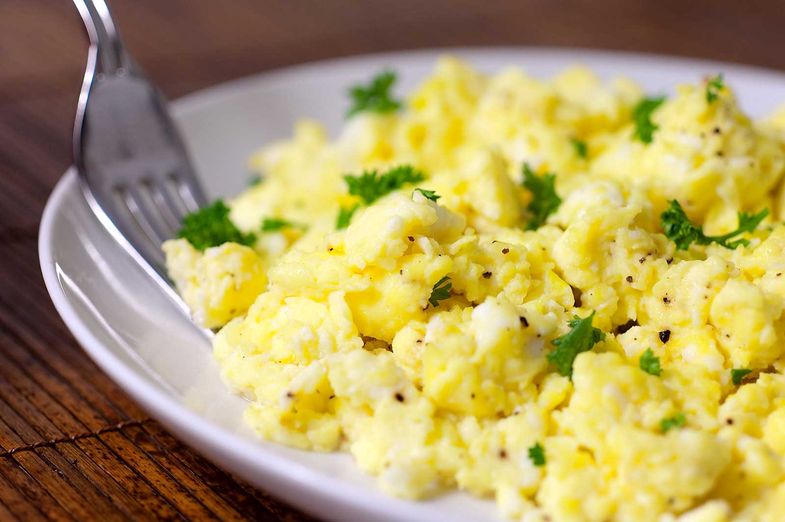 Is Scrambled Egg good for dogs?