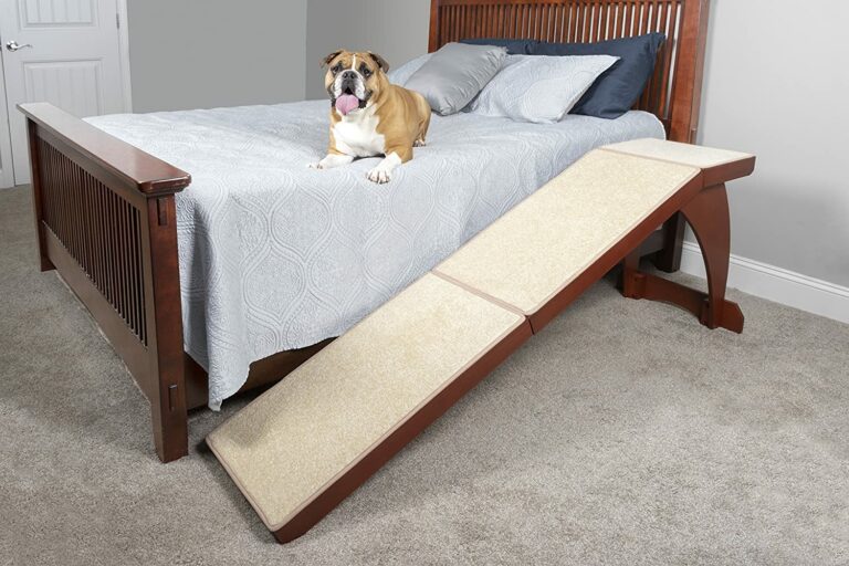 Is a ramp or stairs better for dogs?