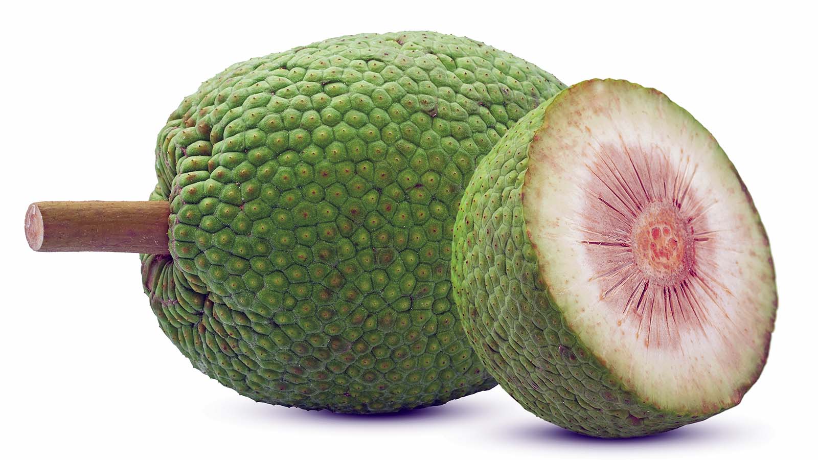 Is breadfruit safe to eat?