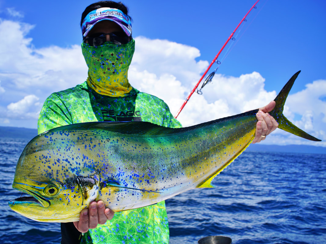 Is dorado a healthy fish to eat?