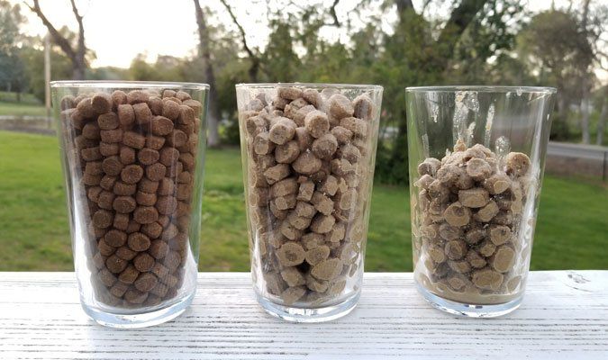 Is it OK to mix water with dry dog food?