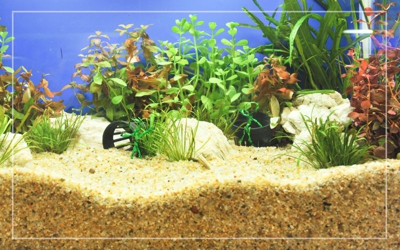 Is it OK to put sand in a fish tank?