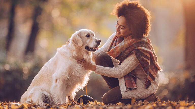 Is it legal to bury a dog in the UK?