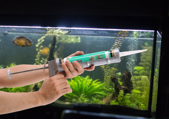 Is silicone sealant toxic to fish?