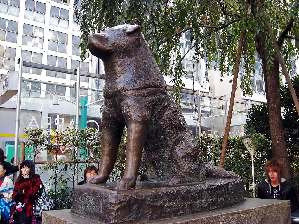 Is the story of Hachi a true story?