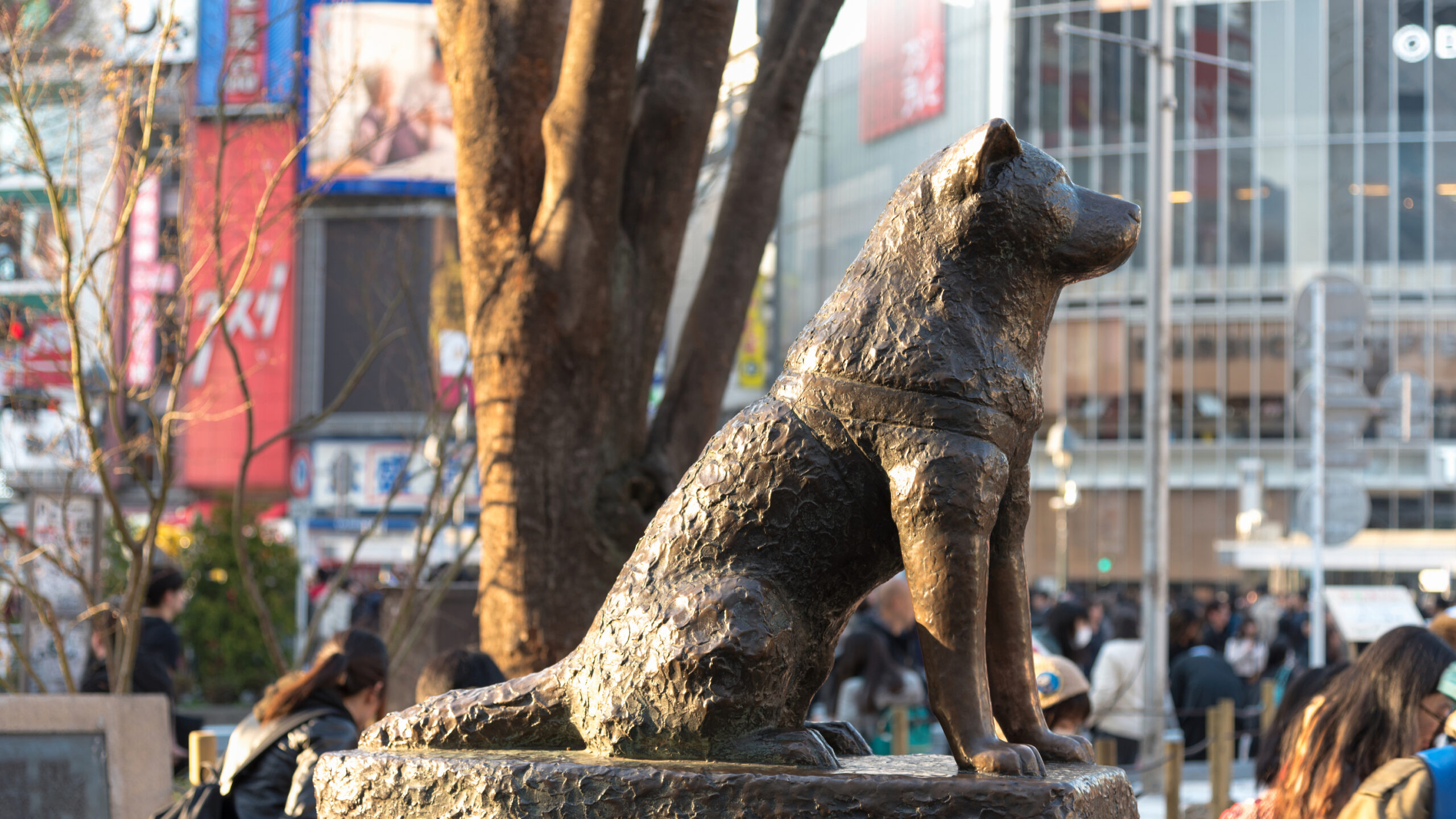 Is there a real Hachiko statue?