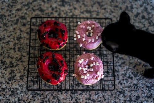 What happens if a cat eats a donut?