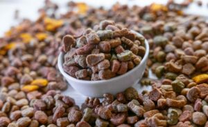 What is the best chicken free dog food