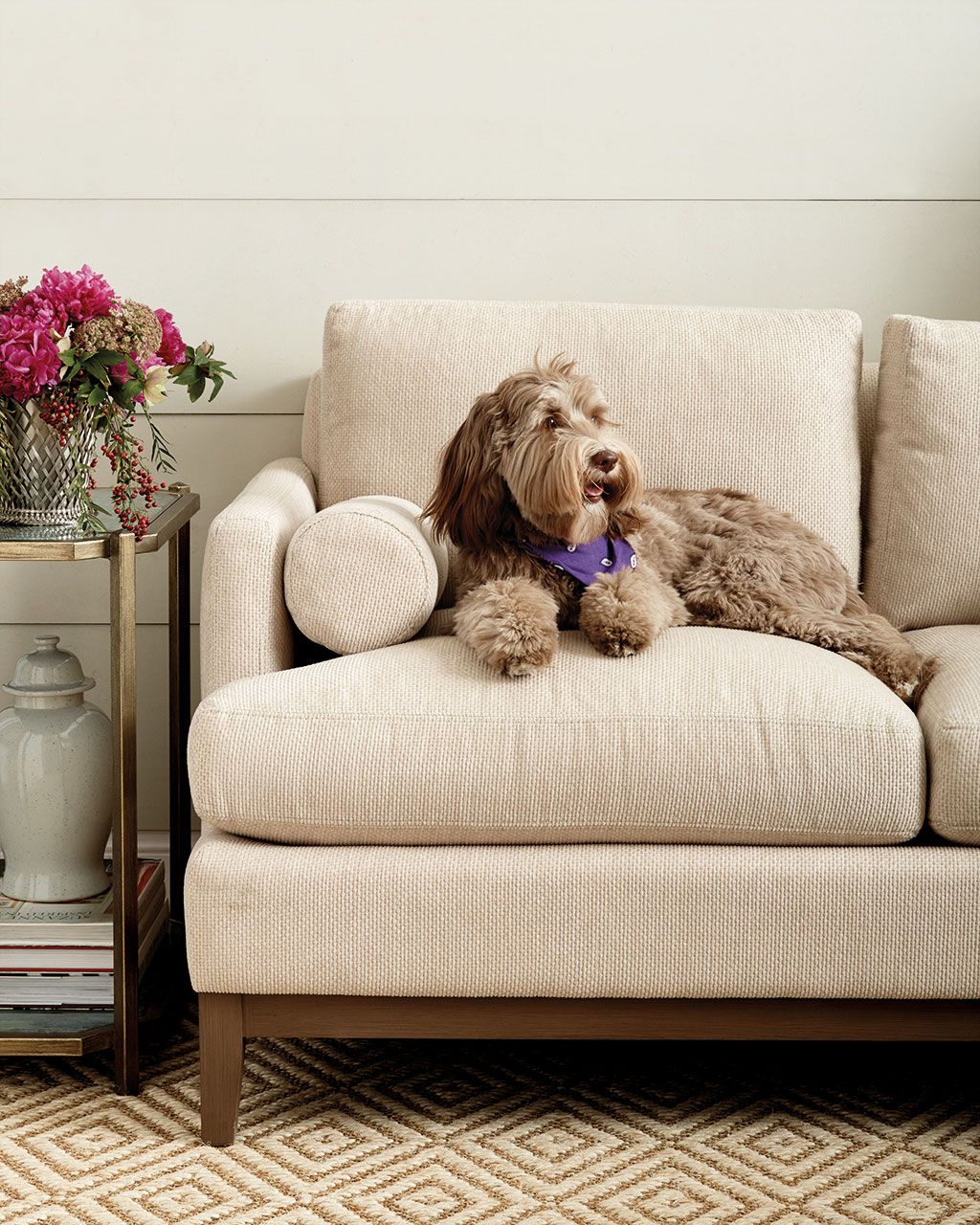What is the best material for a couch if you have a dog?