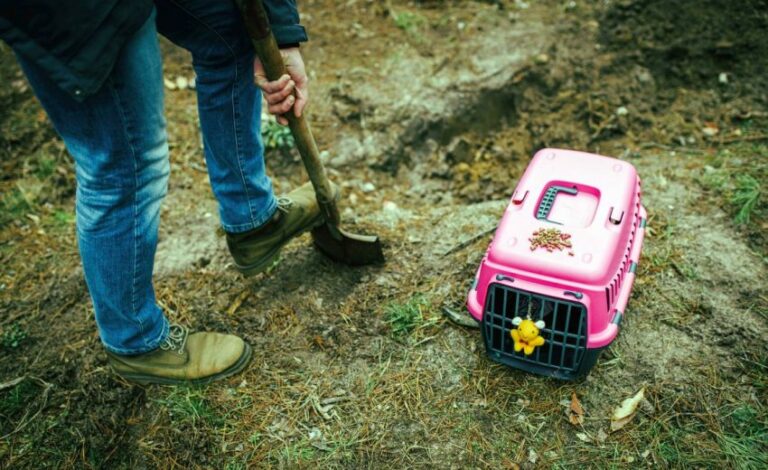 What is the best thing to bury your dog in?