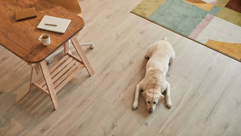 What is the best wood floor finish for dogs?